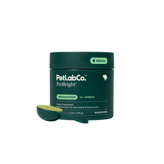Dog Dental Powder - Varino